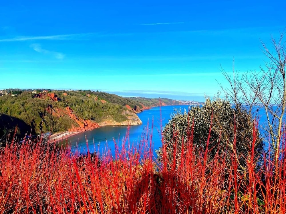 Babbacombe Palms 26/28