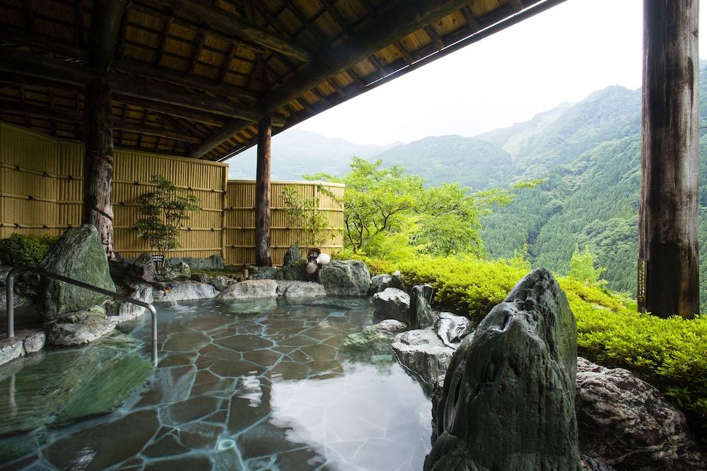 Shin Iya Onsen Hotel Kazurabashi 28/55