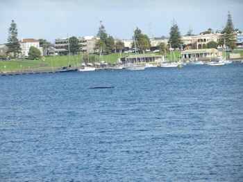 Melaleuca Motel 18/20