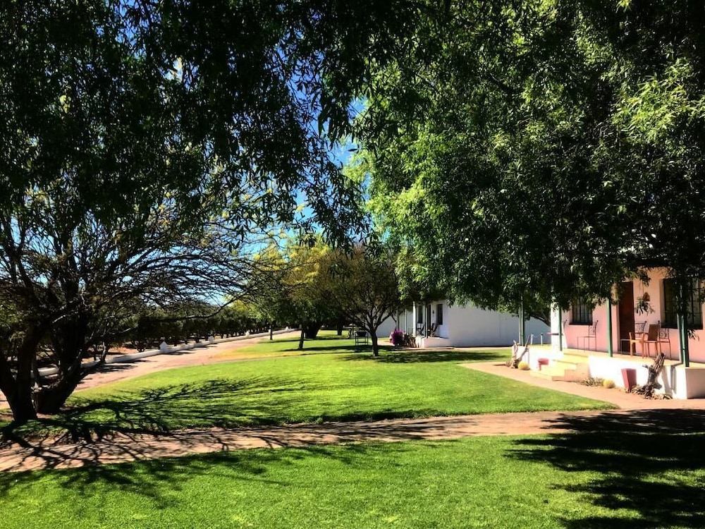Olive Grove Guest Farm 29/50
