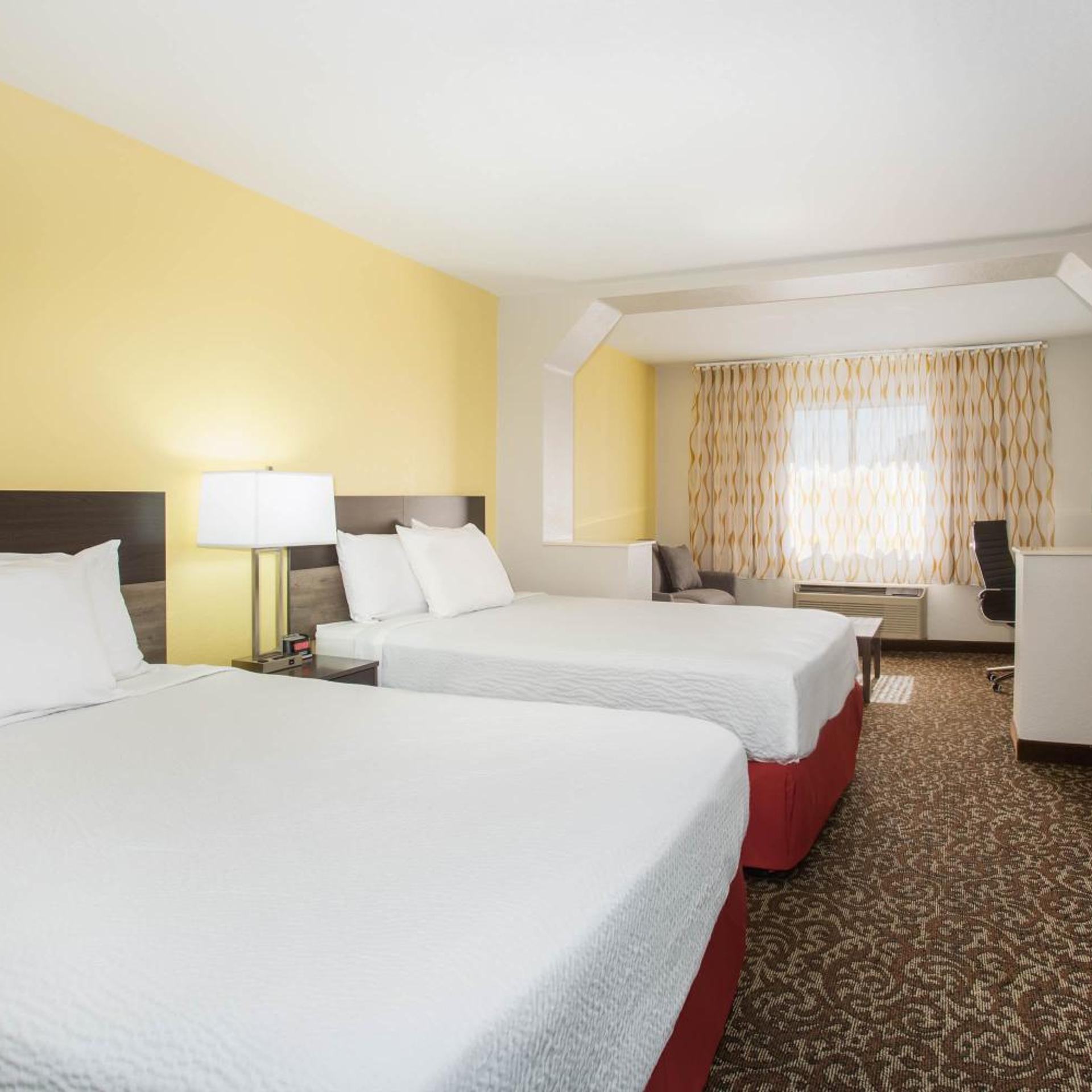 Suite, Queen Bed