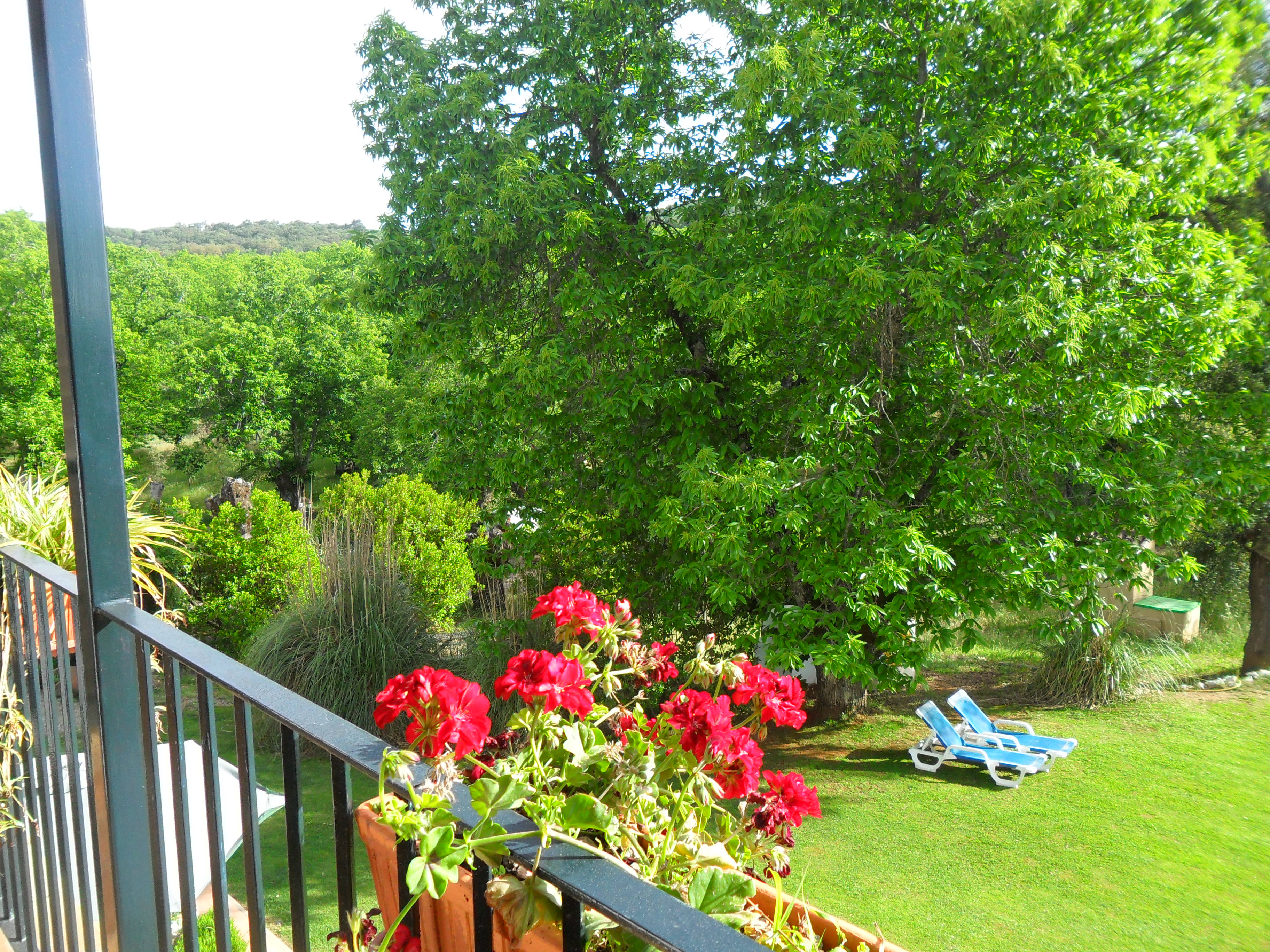 Finca la Media Legua 23/24
