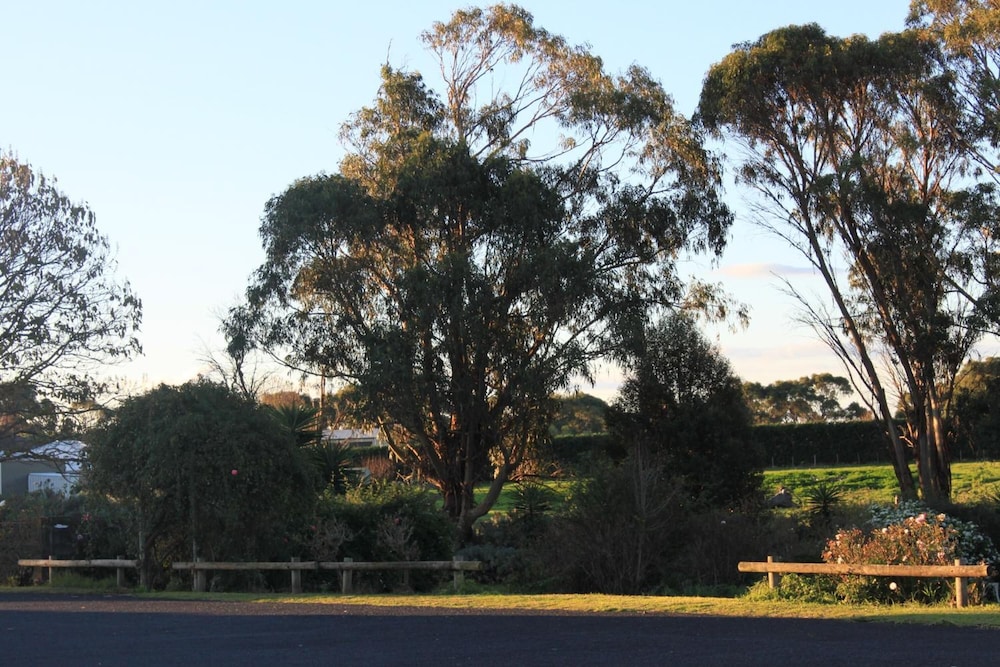 Mt Gambier International 11/18