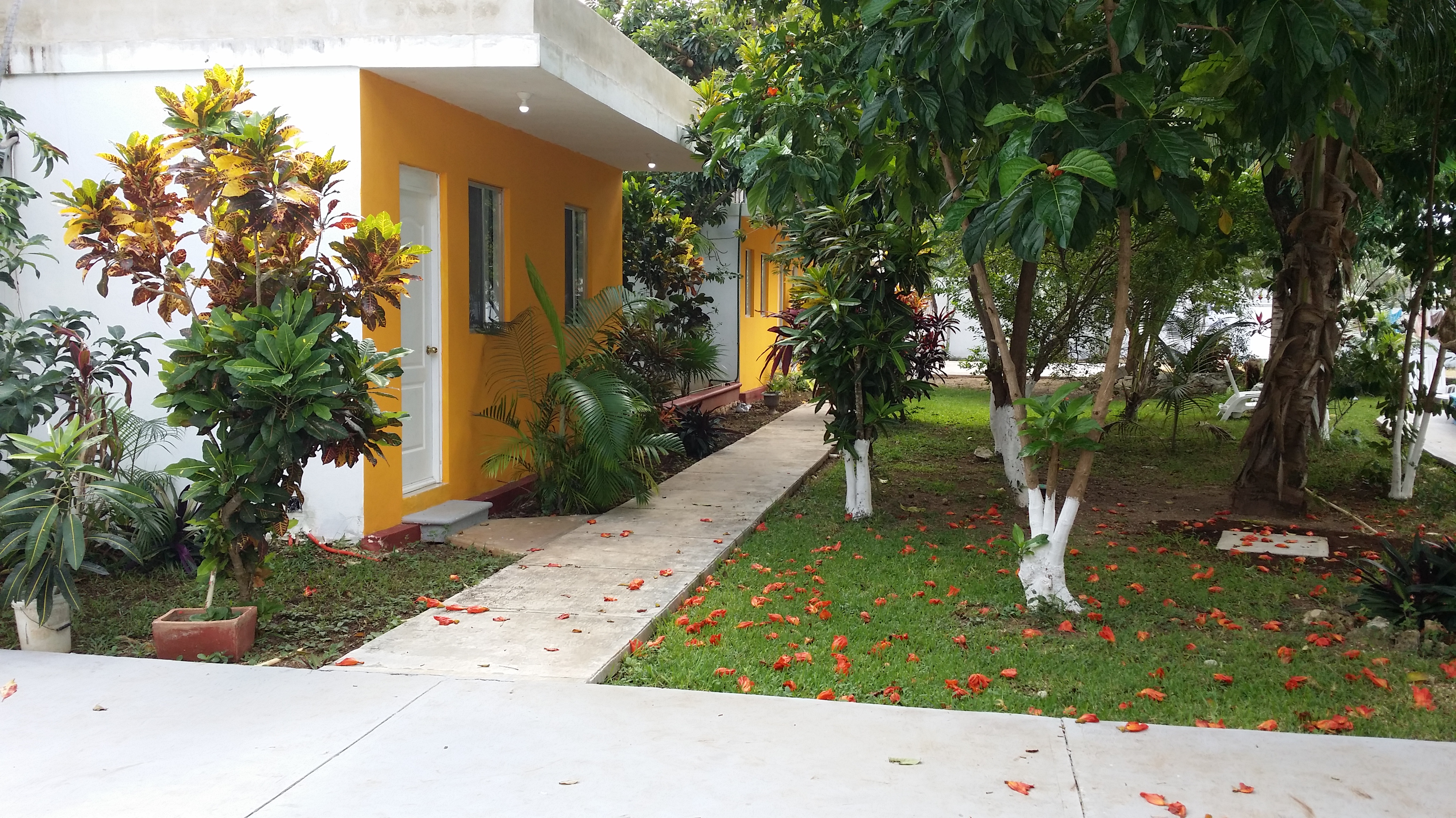 Mansion Giahn Bed and Breakfast 33/35