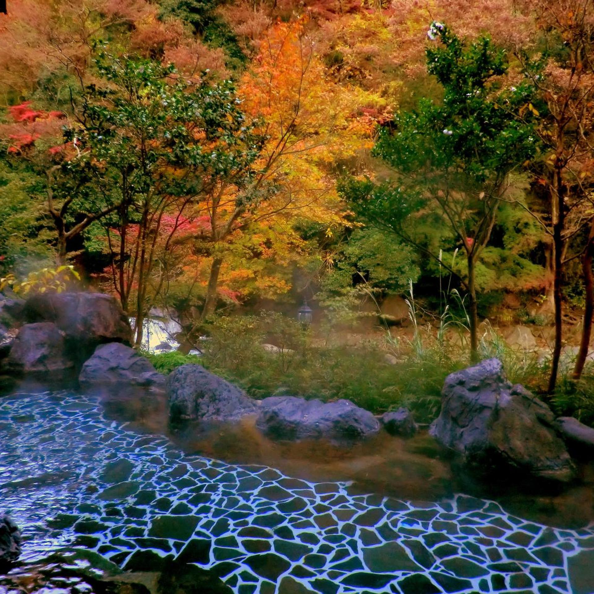 Hakone Tonosawa Onsen Shiunso 47/50