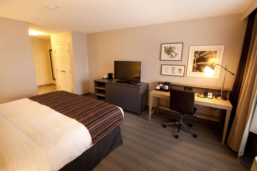 Room, King Bed, Accessible