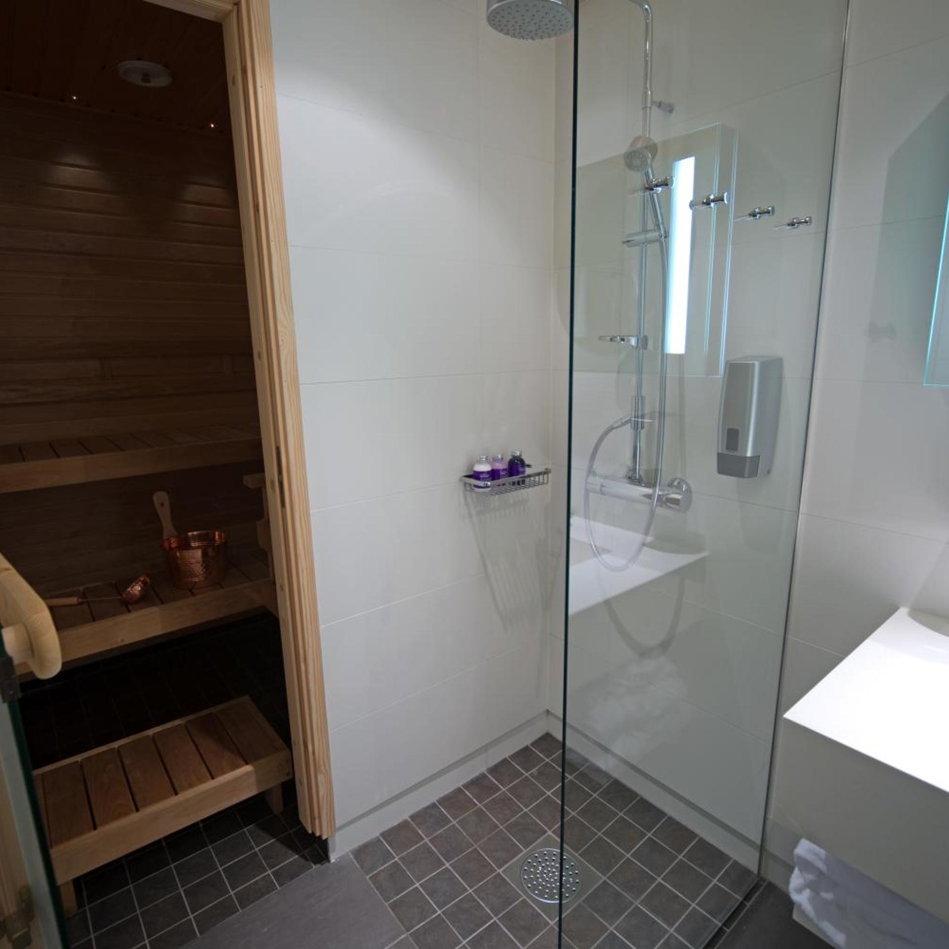 Deluxe, Suite, Sauna