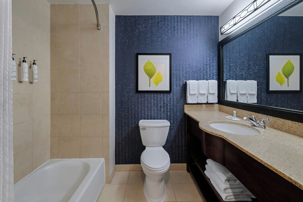 استوديو بسرير كينج مع أريكة، Fairfield Inn Suites Denver Aurora Parker 2/2