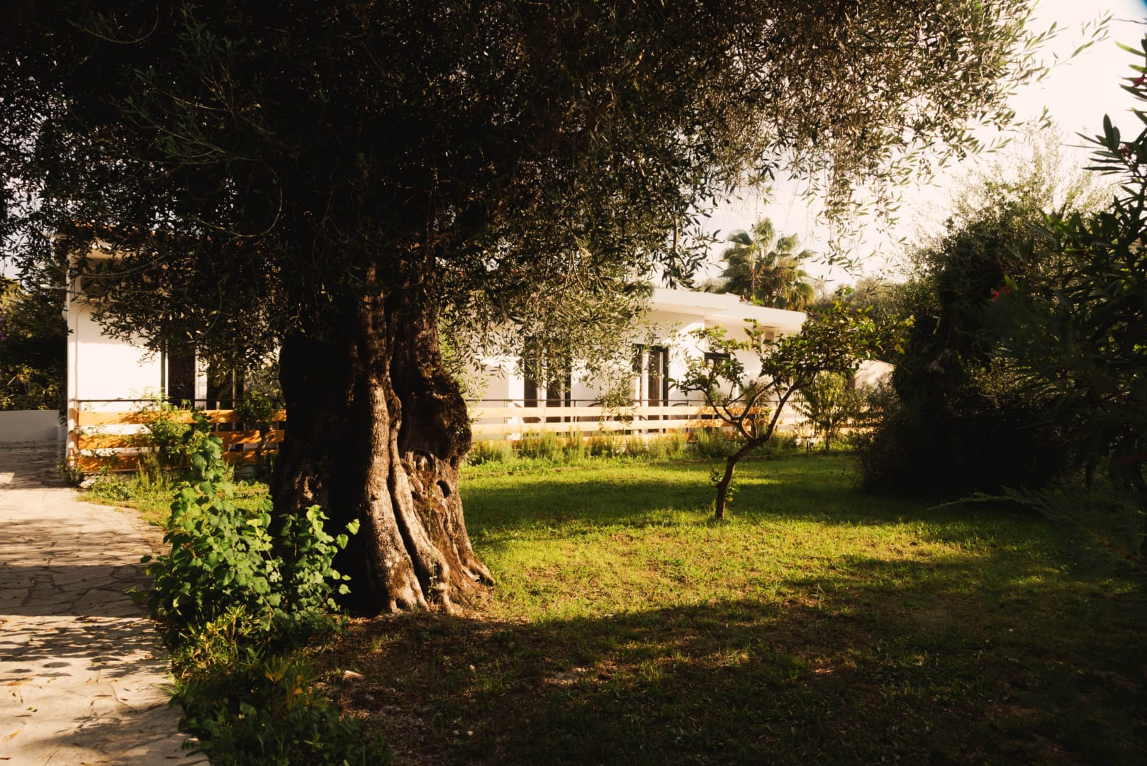Olive Grove Suites Boutique Hotel 42/50