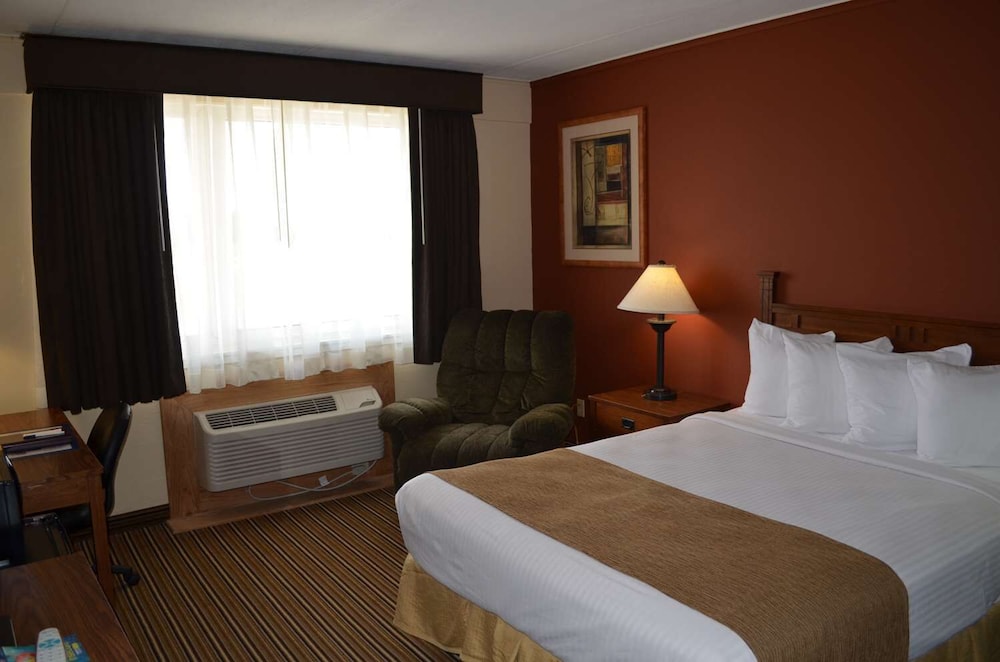 Standard, Single, Queen Bed