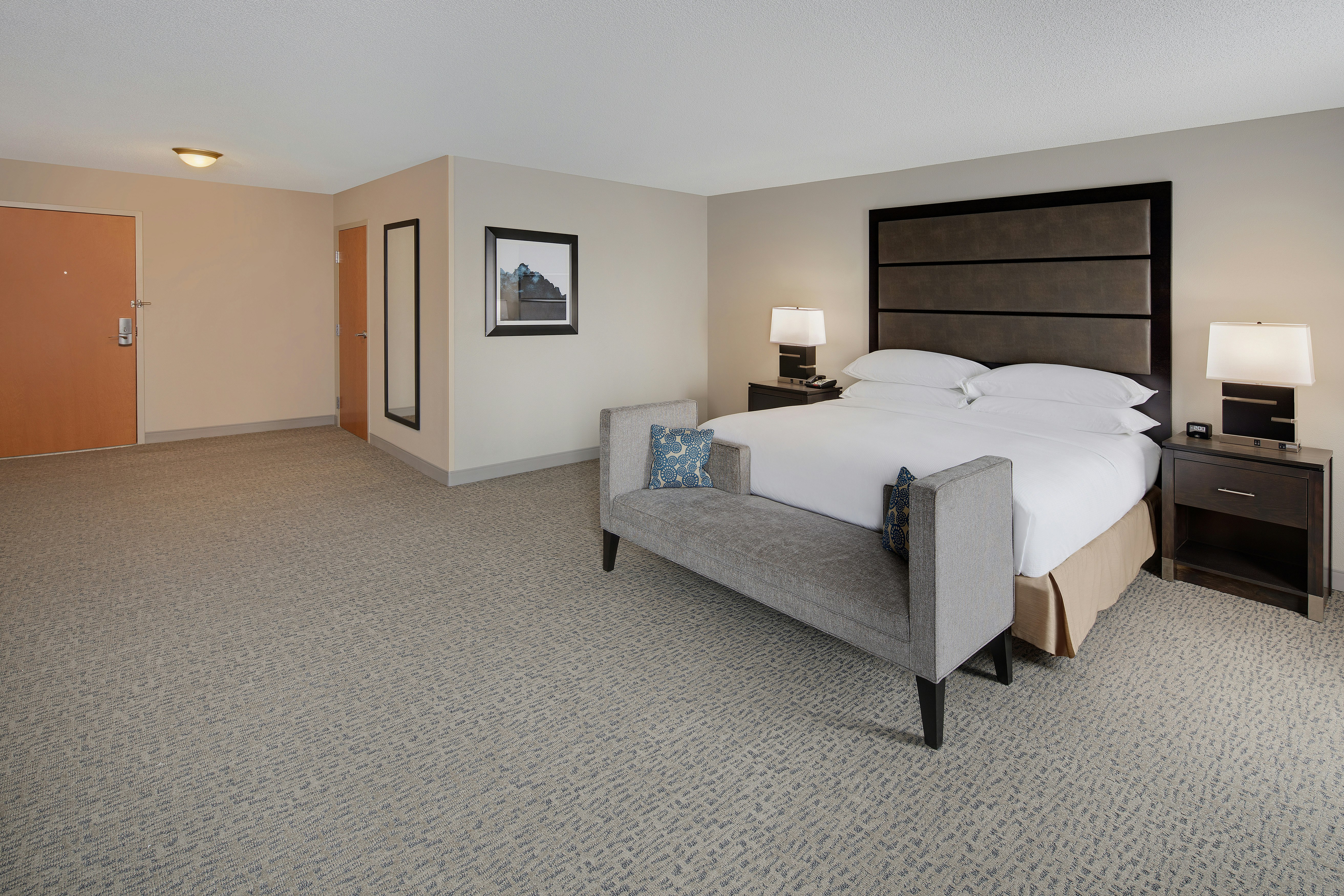 ROOM, KING BED, ACCESSIBLE