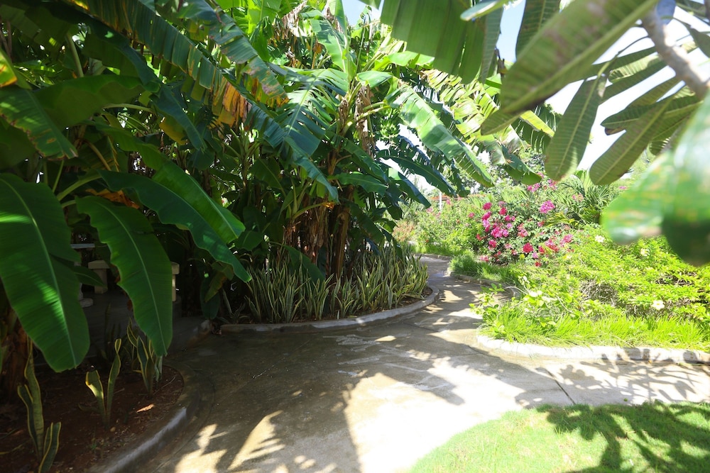 Beach Garden Hotel And Apartment 38/50