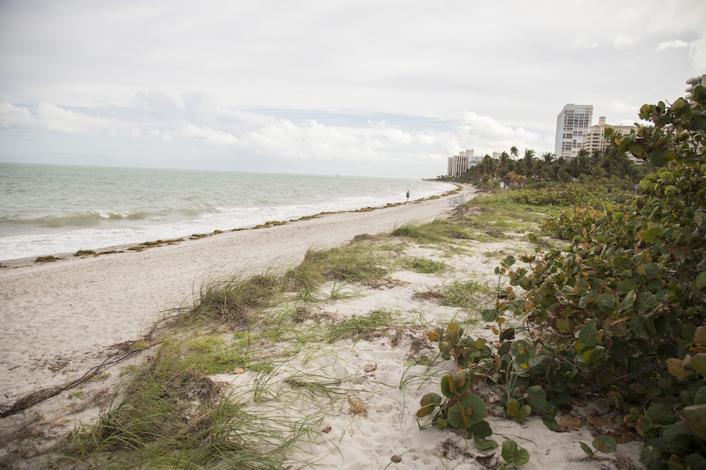 Coral Reef Suites 61/75