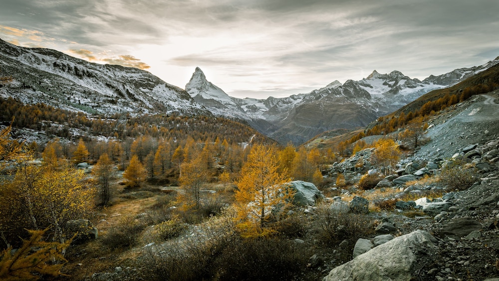 Hotel Mountain Paradise 39/50