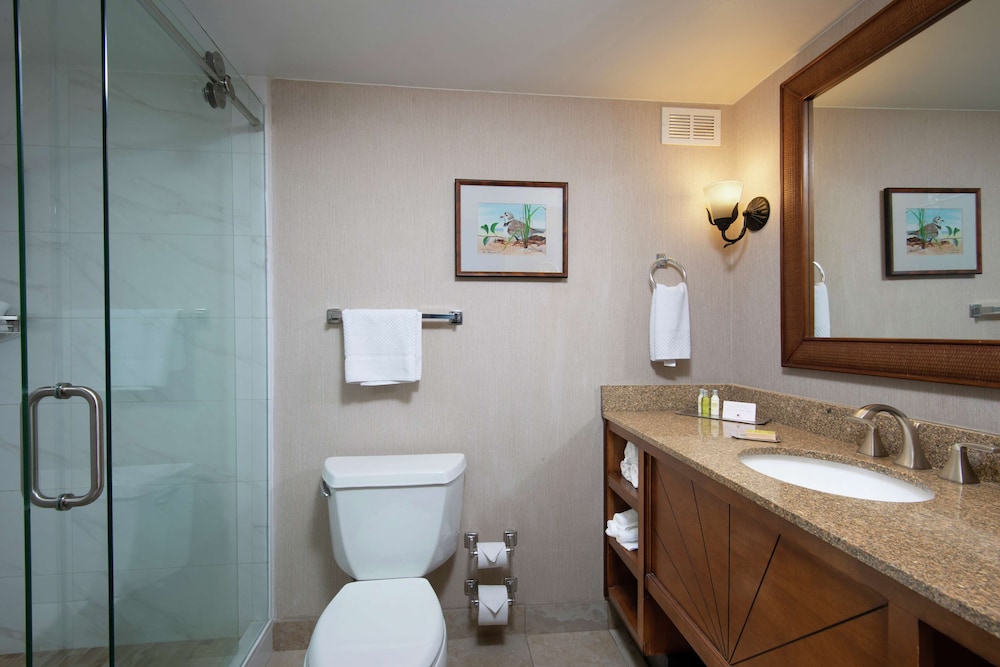 DoubleTree Beach Resort by Hilton Tampa Bay - North Redington Beach 12/59