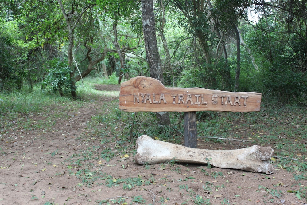 Bushlands Game Lodge 22/45