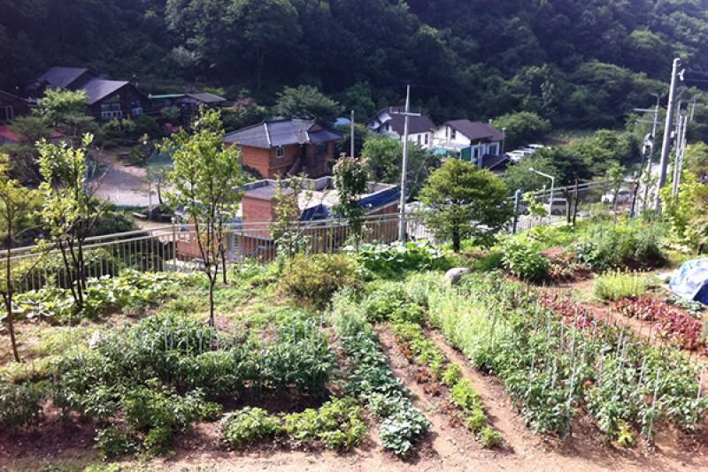 Gapyeong Jenny Pension 14/15