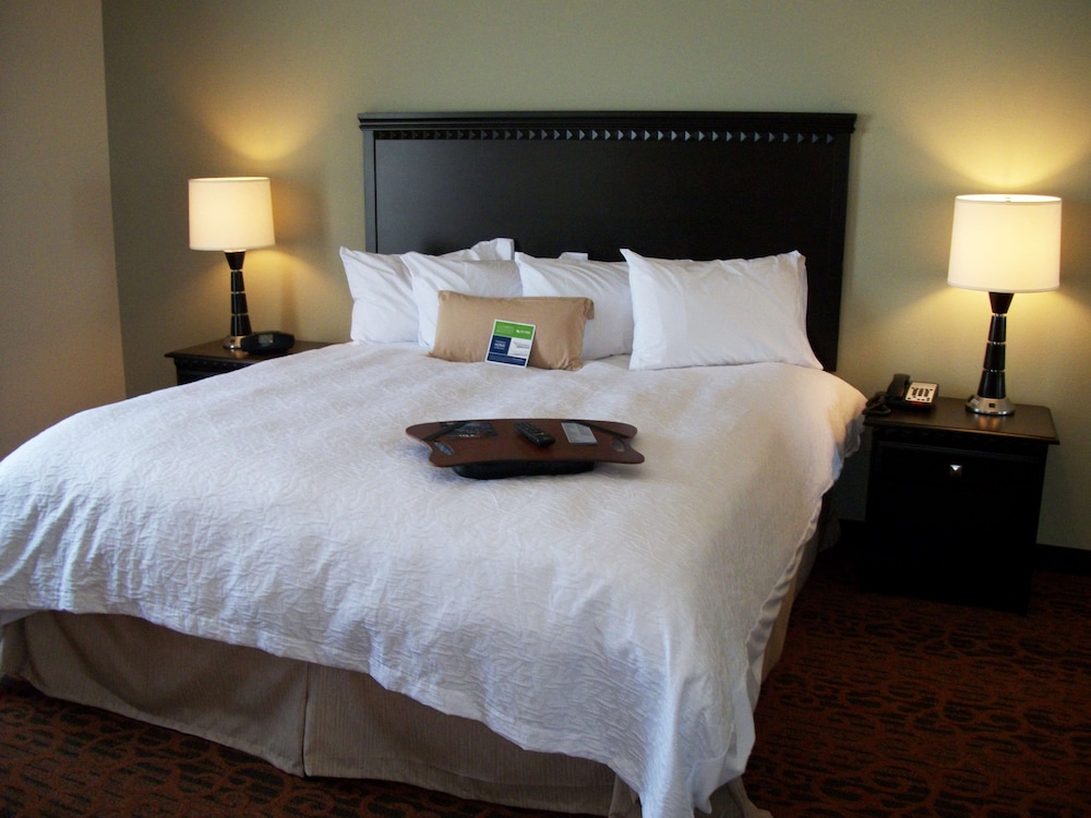 Hampton Inn Pecos 15/45