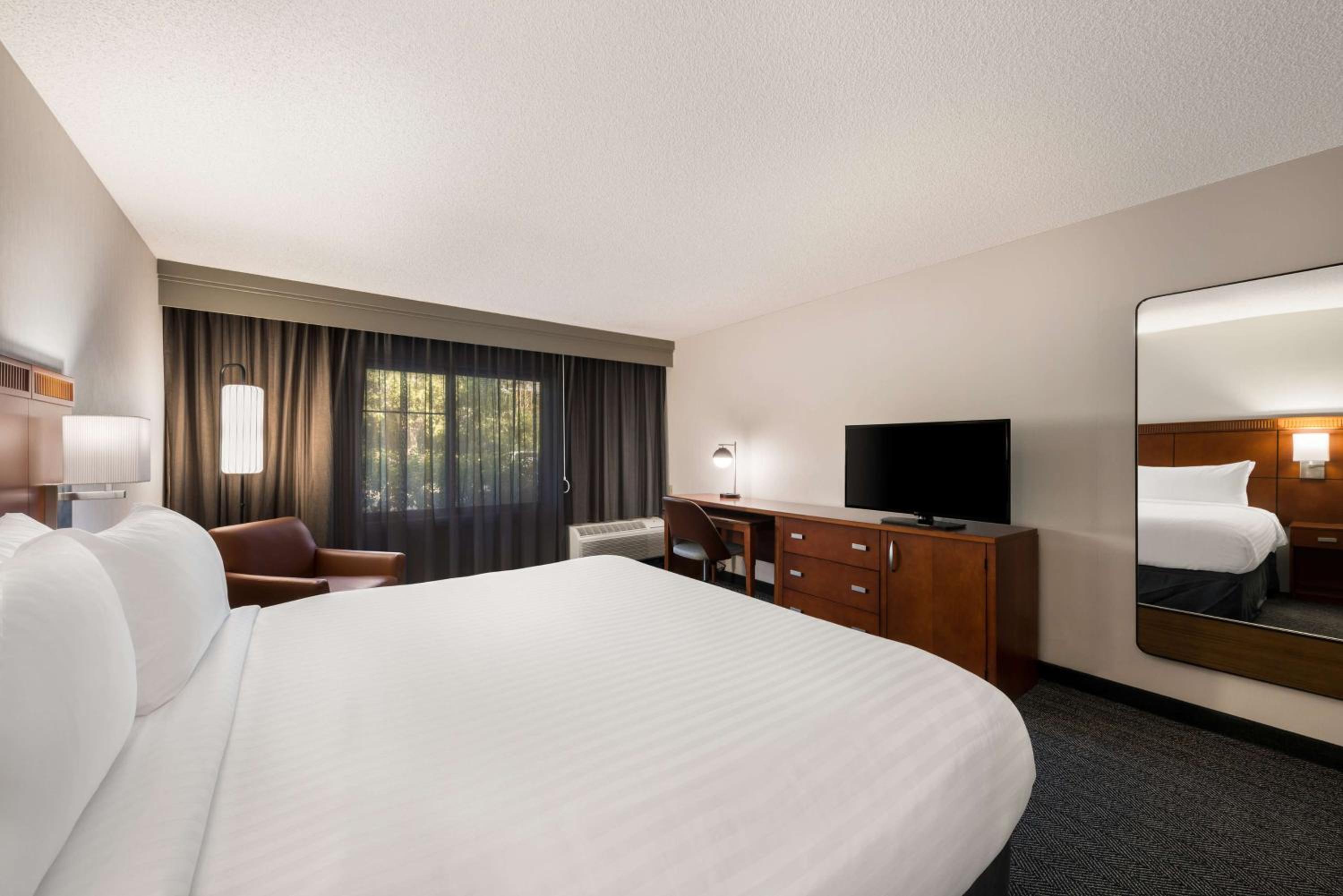 Guest Room, King Bed, Accessible