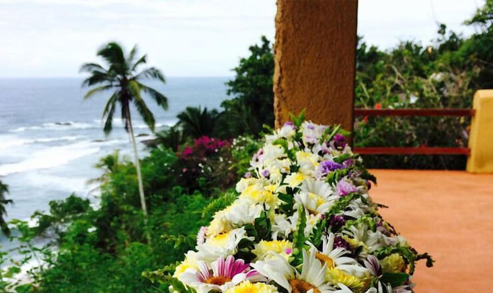 Eva Lanka Hotel 52/58