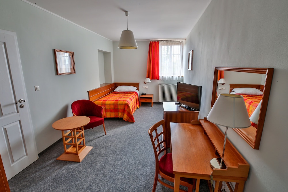 Hotel Dvorak Tabor 29/50