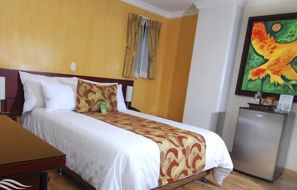 Luxor Plaza Hotel Pereira 25/50