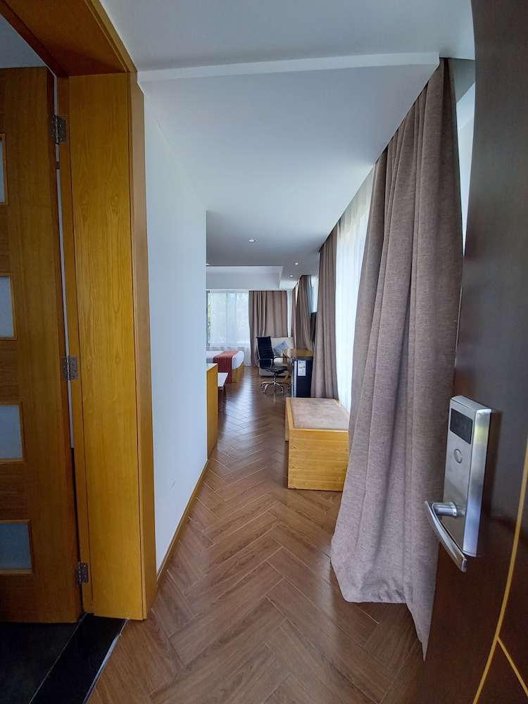 The Alps Hotel 15/36