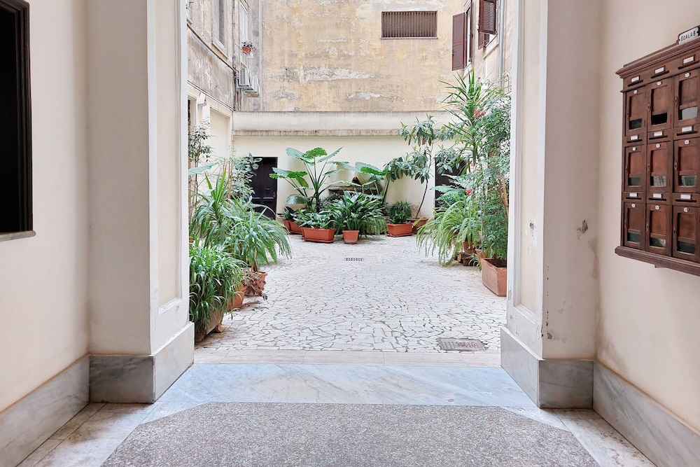 Dandi Domus 3/55