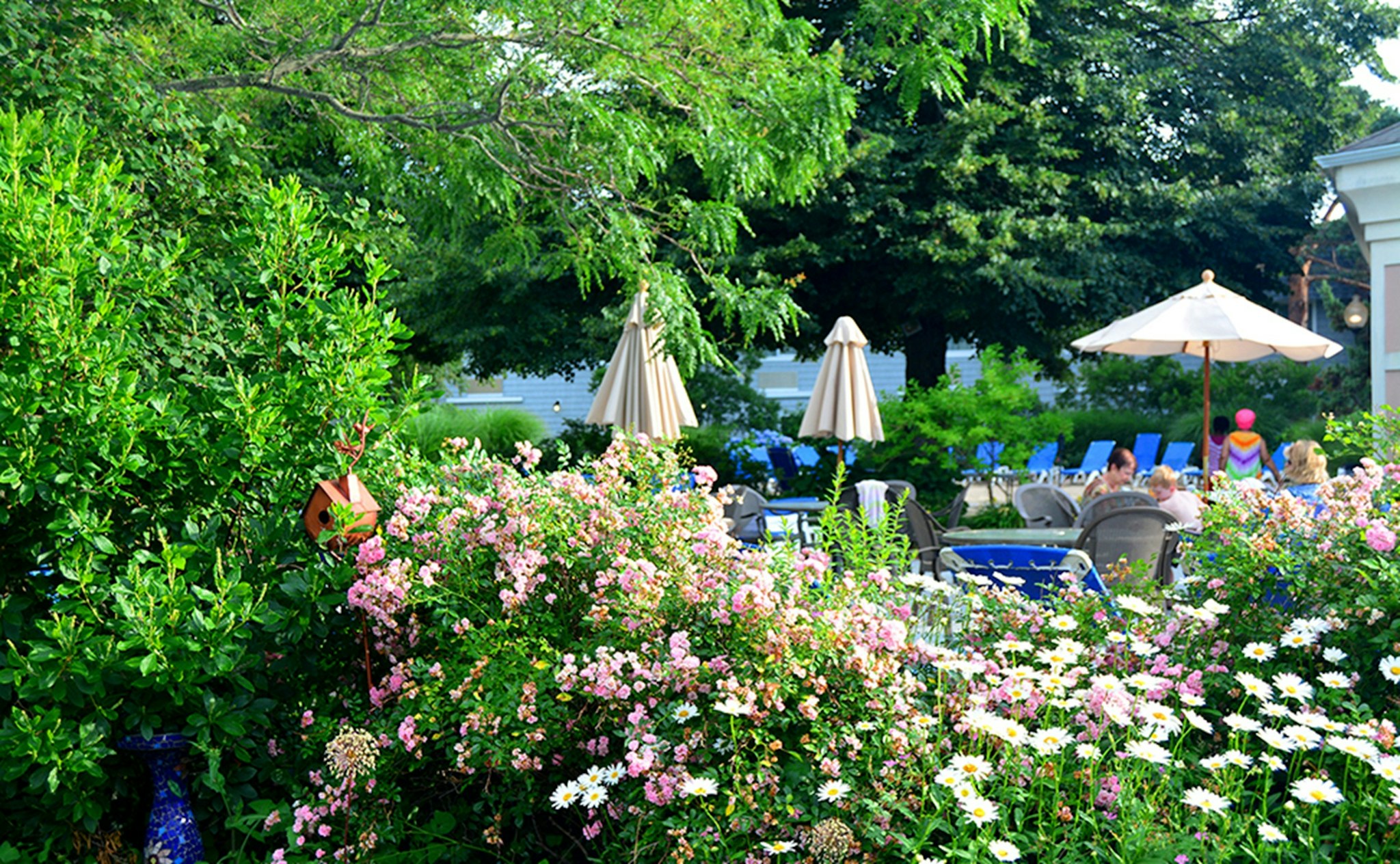 Margaritaville Resort Cape Cod 45/48
