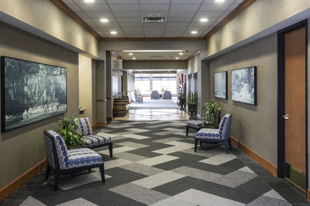 Hilton Garden Inn Louisville Airport 52/69