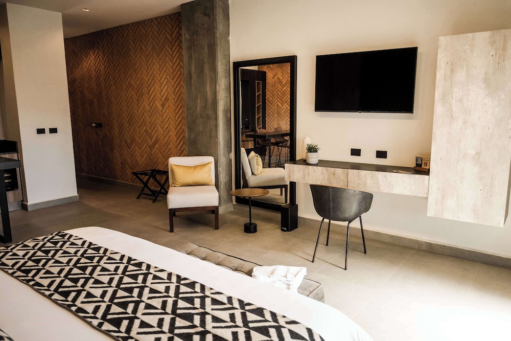 Esplendor by Wyndham San Luis Potosi Monarca 40/54