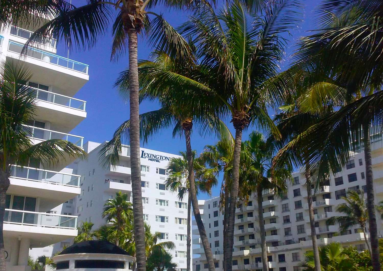 Lexington by Hotel RL Miami Beach 8/52