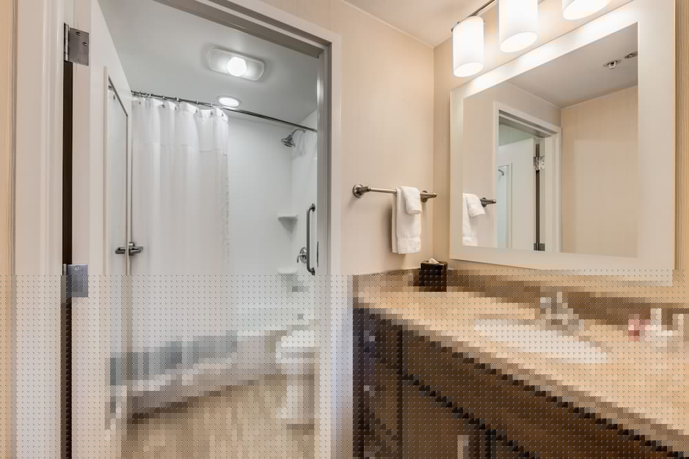 Towneplace Suites By Marriott Ann Arbor 43/51