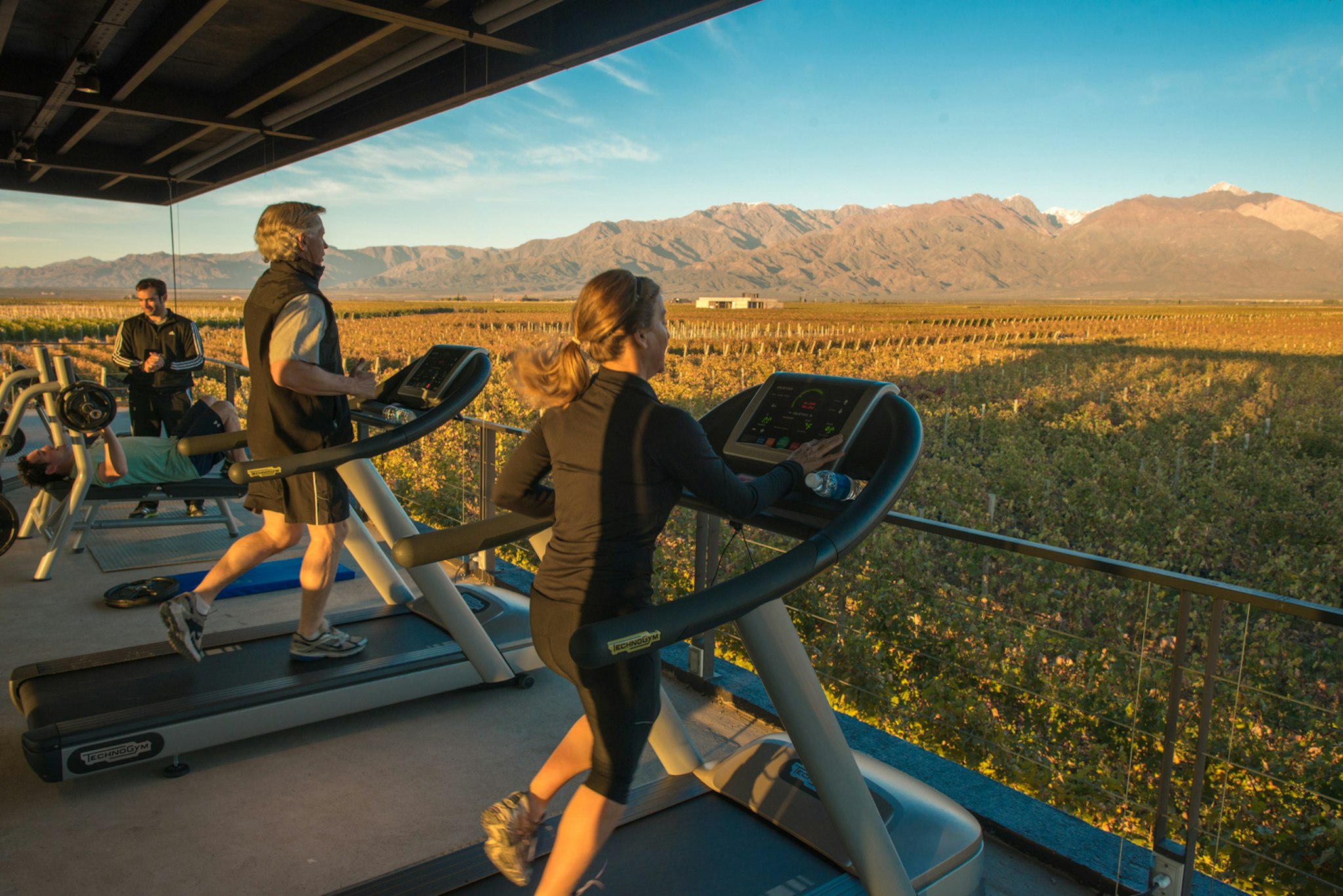 The Vine Resort & Spa 27/50