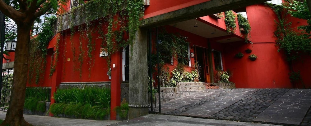 Arbol de Fuego 7/63