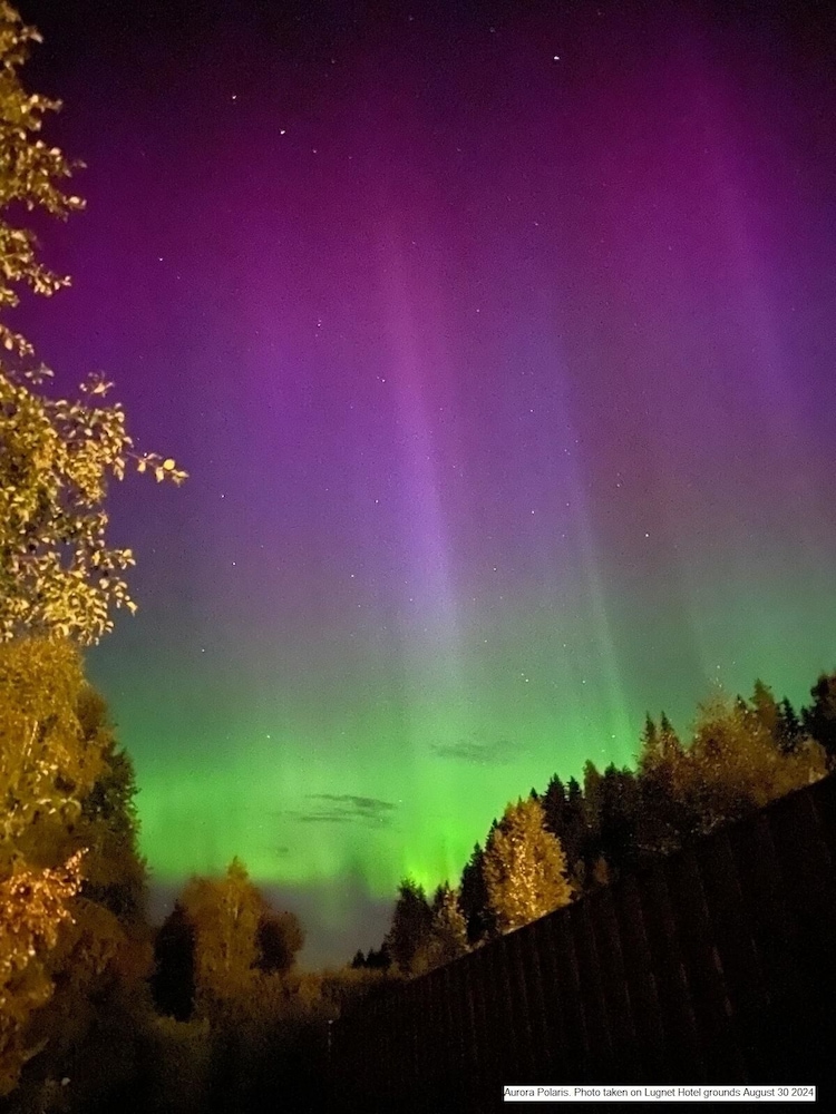 Vardshuset Lugnet 28/42