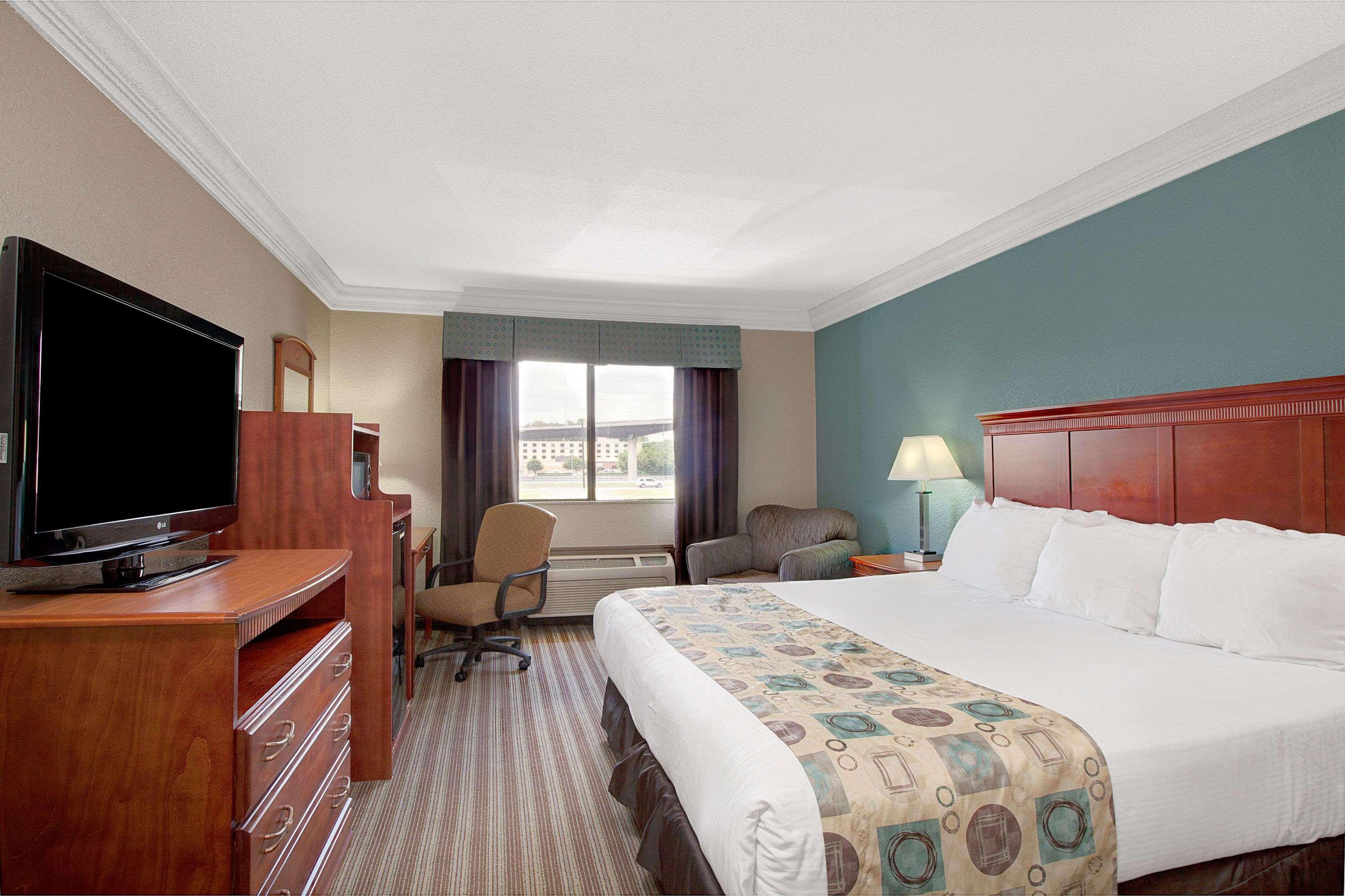 Suite, King Bed