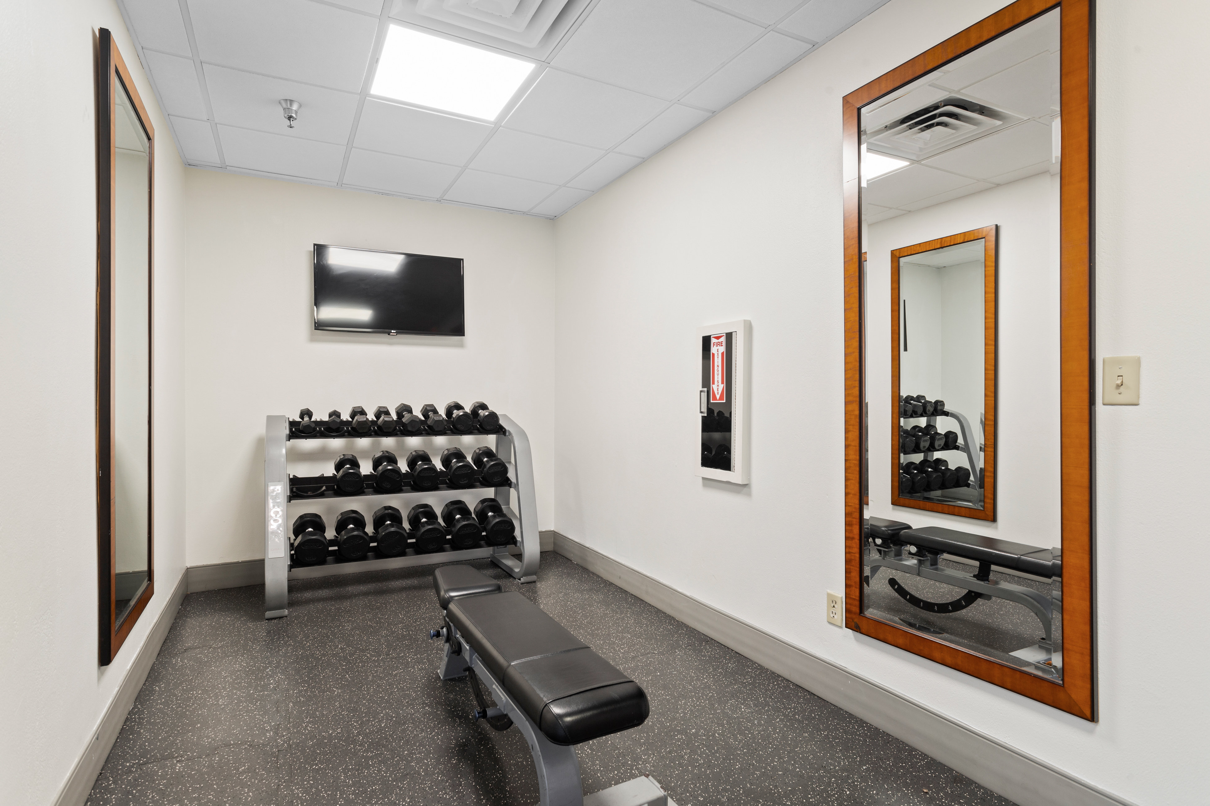 Holiday Inn Tampa Westshore Airport Area 19/50