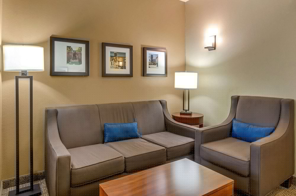 Comfort Inn & Suites Lynchburg Airport - University Area 26/40
