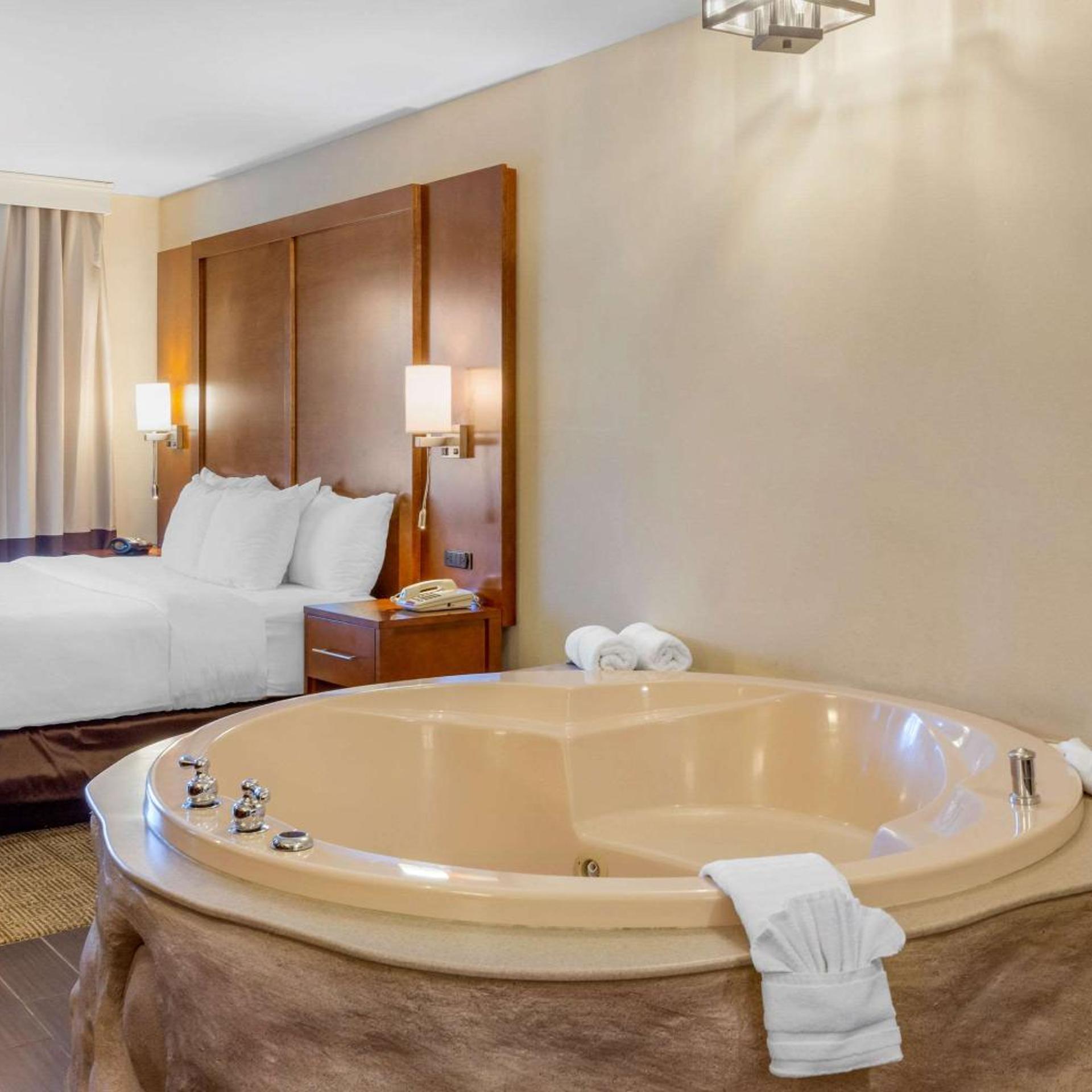 جناح بسرير كينج مع أريكة، Comfort Suites Oakbrook Terrace - Chicago West 6/6