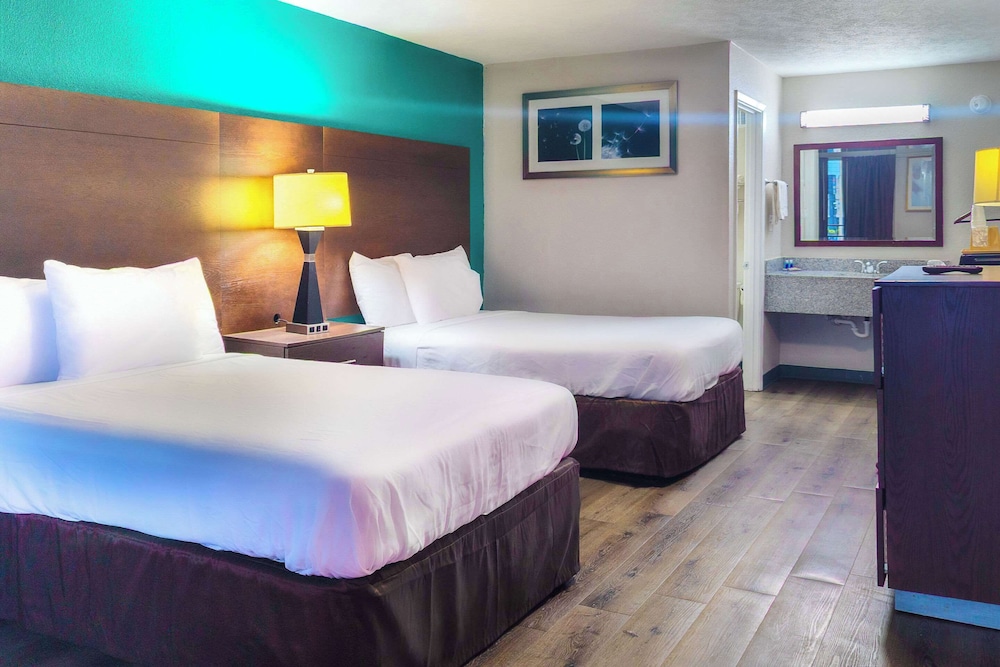 ROOM, TWIN BEDS, ACCESSIBLE