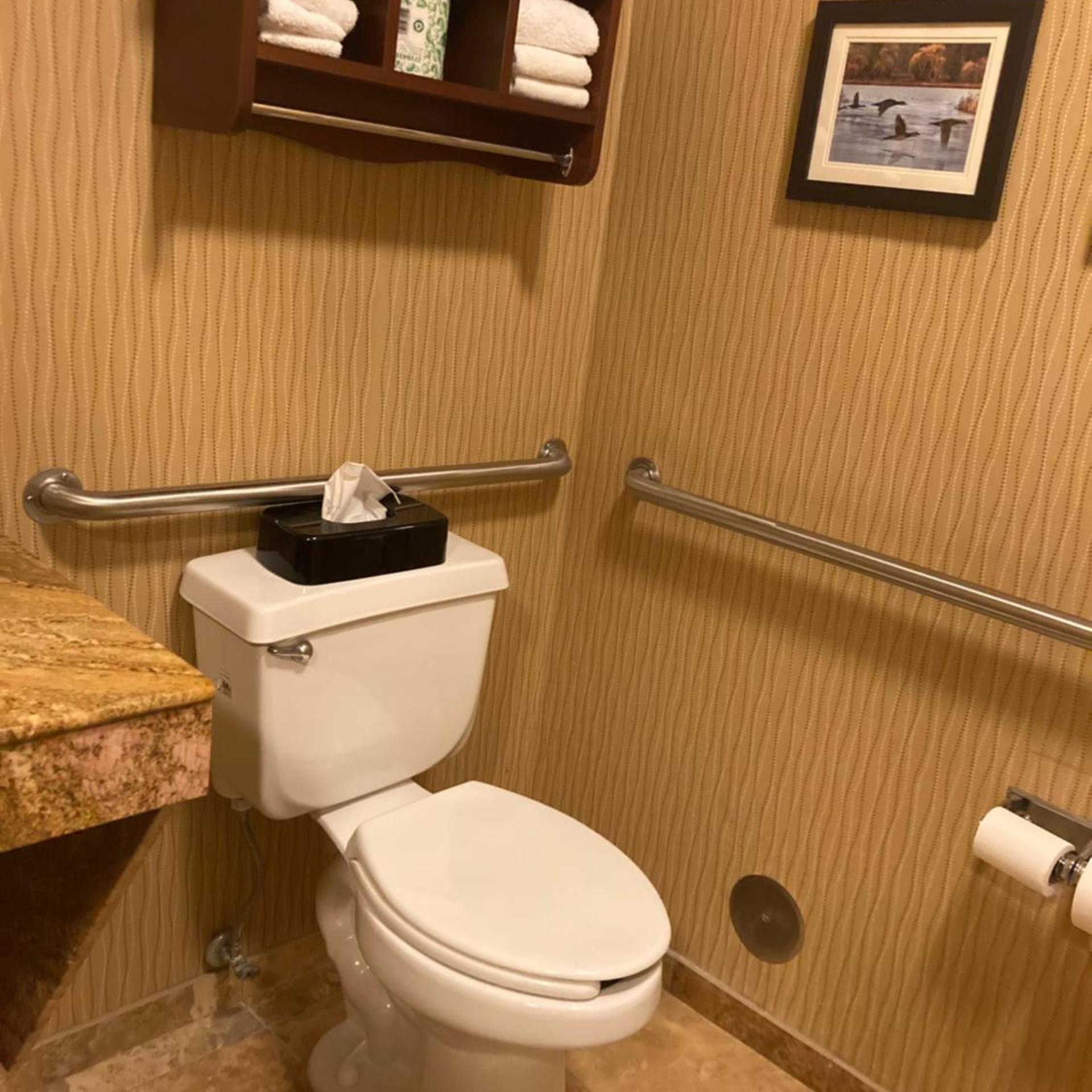 غرفة بسرير كينج بحوض استحمام لذوي الإعاقة، Comfort Inn Wings Stadium 10/10
