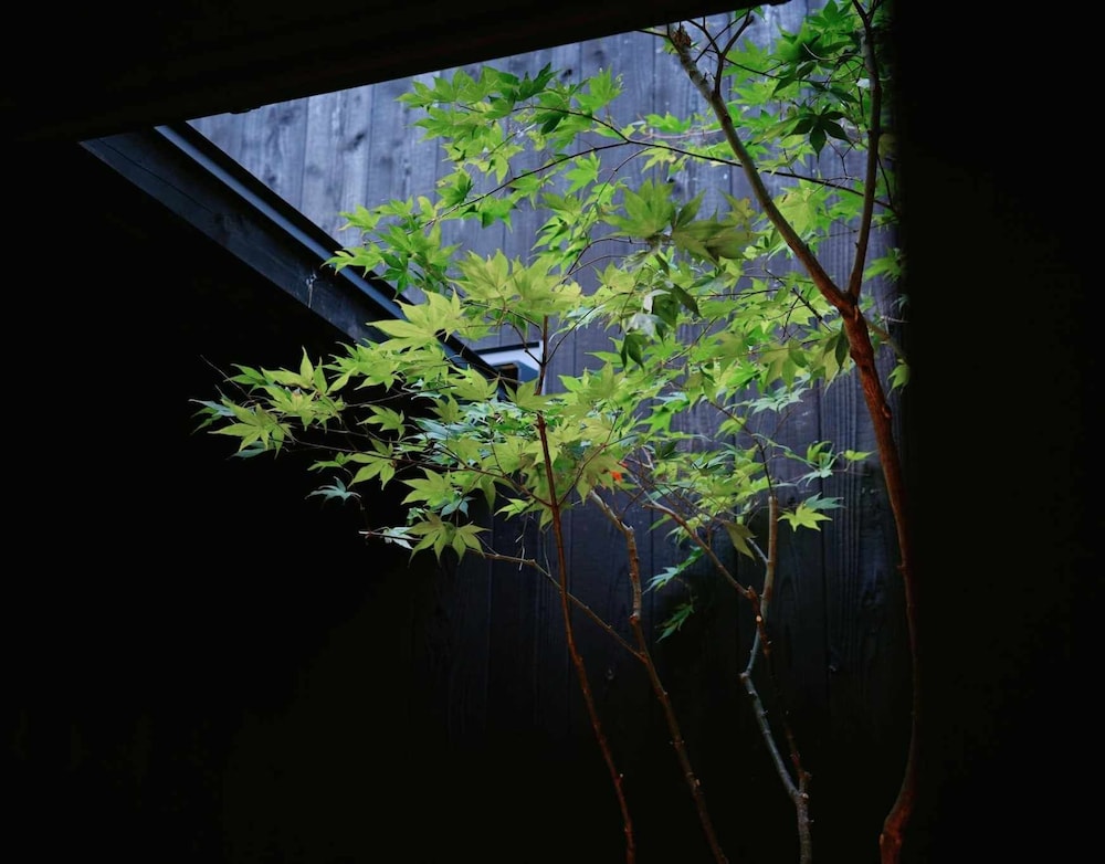 Kyoto Machiya Zeniyacho 36/39