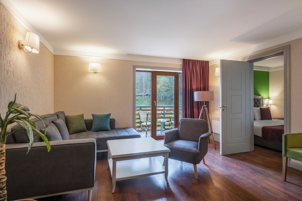 Sairme Hotels & Resorts 21/37