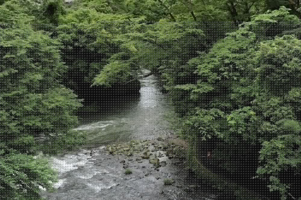 Yamanaka Onsen Shirasagiyu Tawaraya 45/52