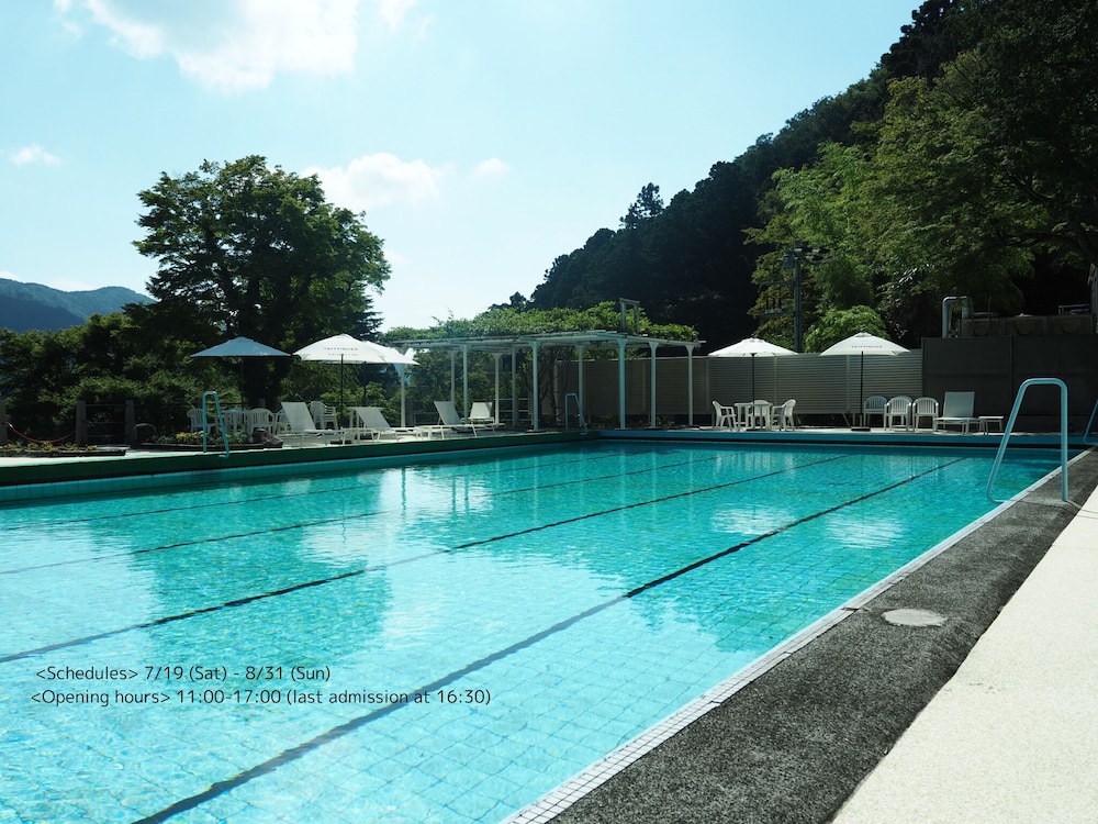 Fujiya Hotel 43/73