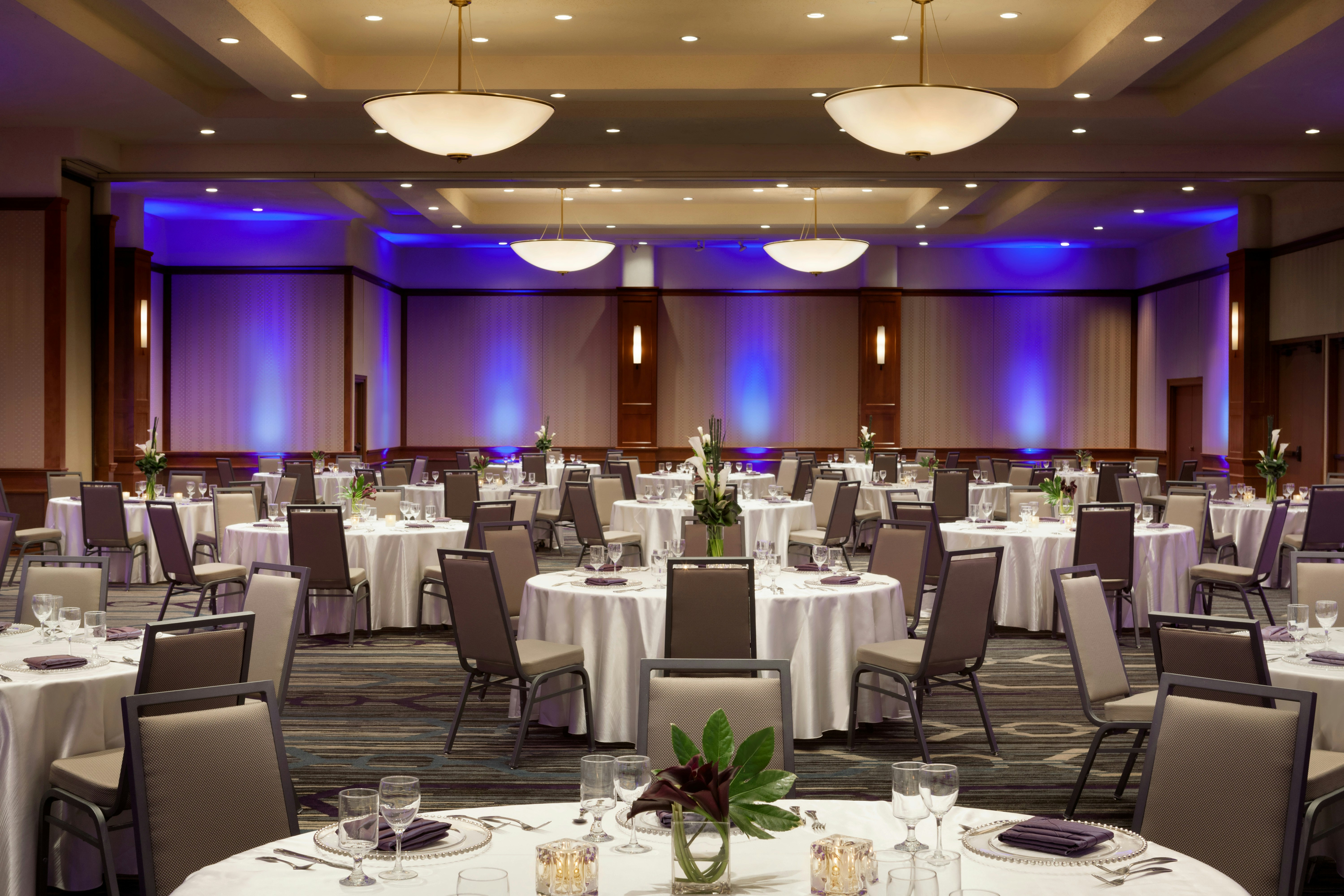 Doubletree Hotel Minneapolis Park Place 32/39