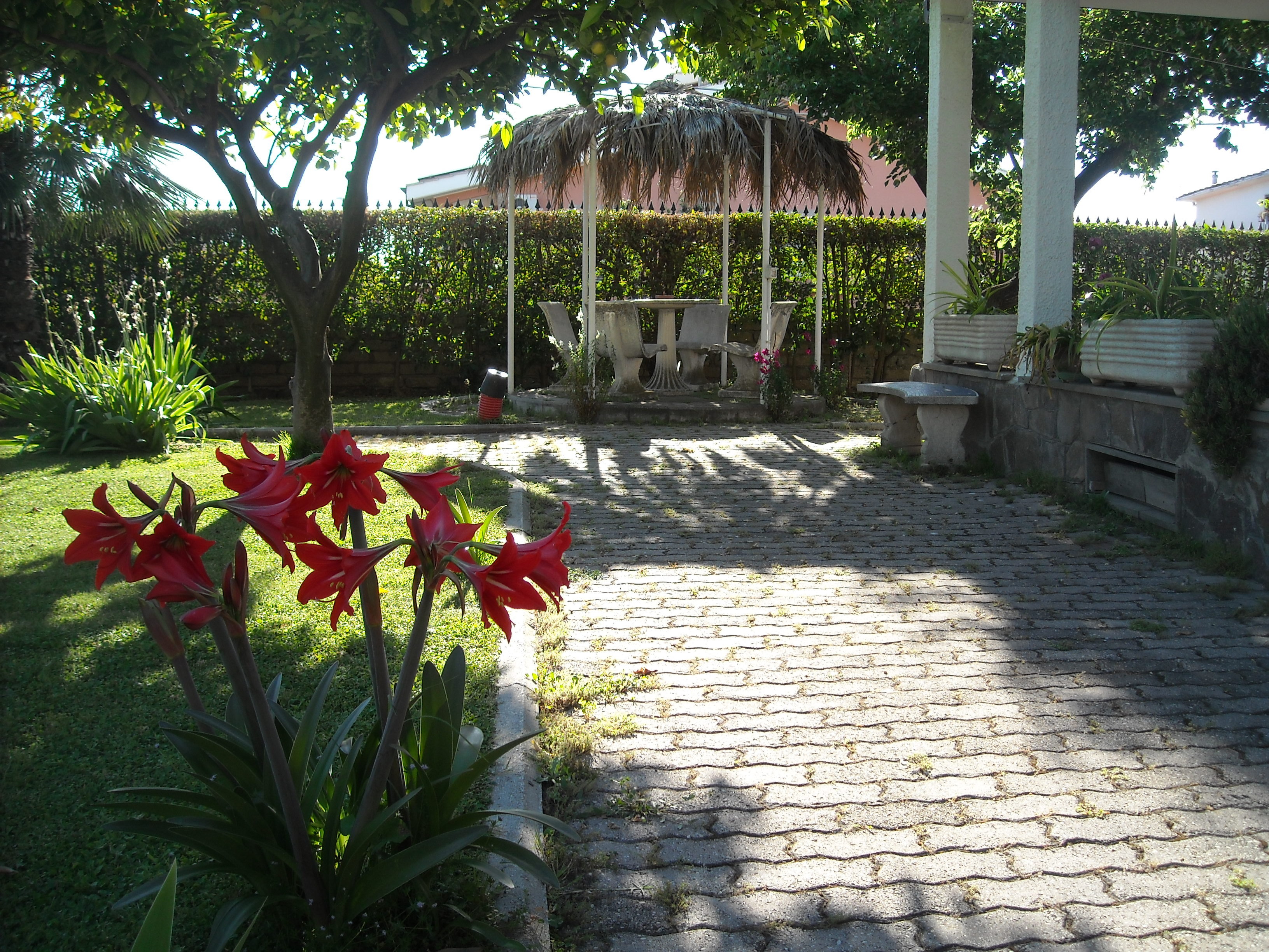 Giardino degli Aranci B&B 50/56