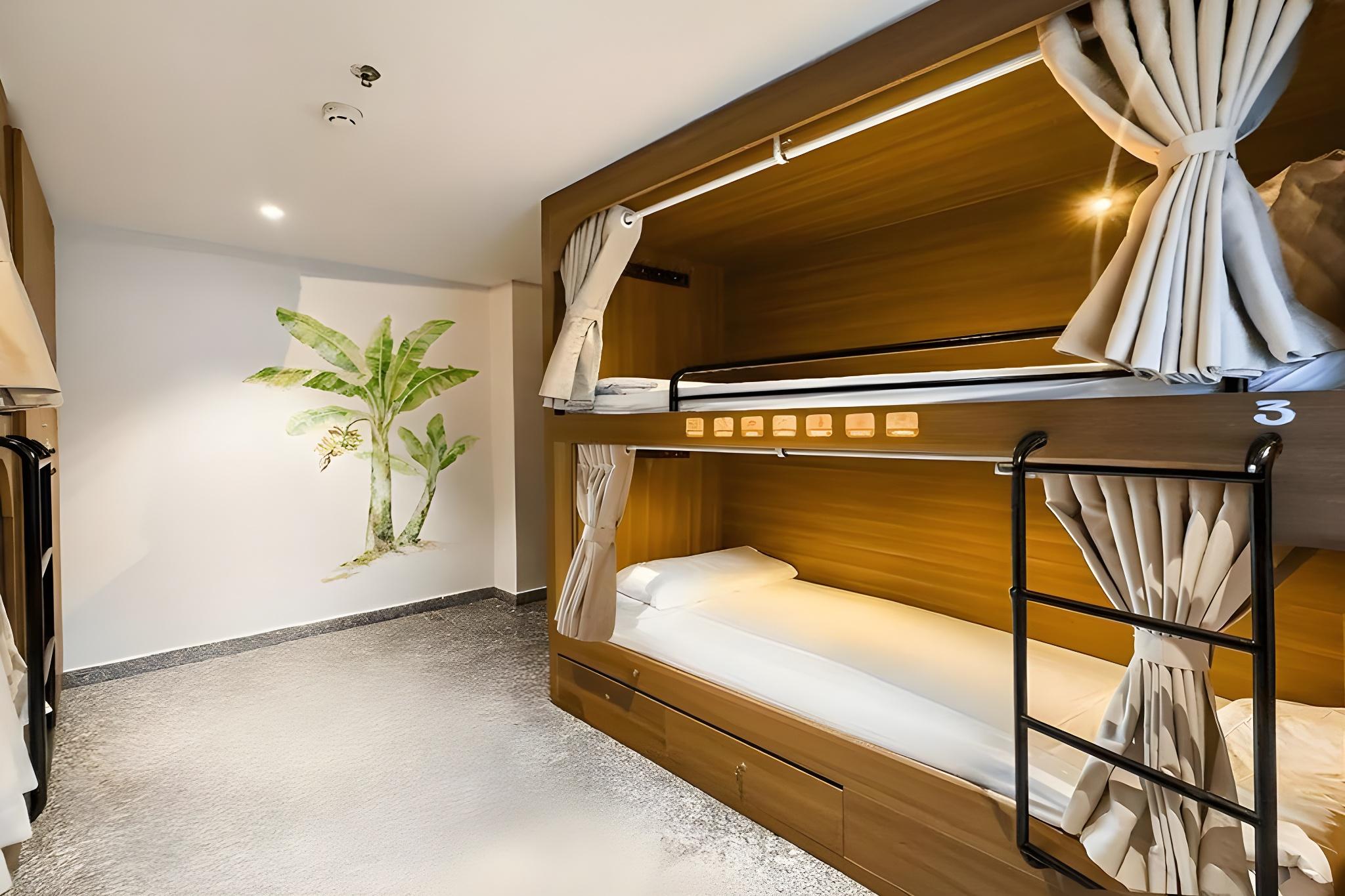 Mixed Dorm, Standard