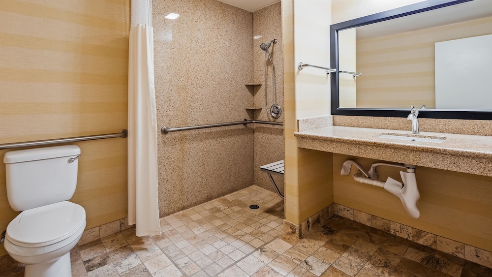 Best Western Date Tree Hotel 16/49